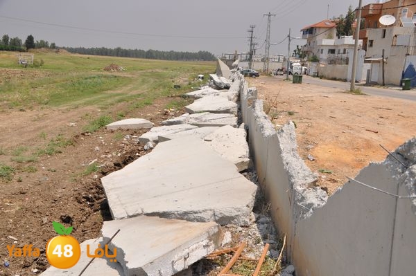 wallludshaneer509 (11).JPG